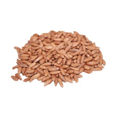 Himalayan Pine Nuts (In Shell)