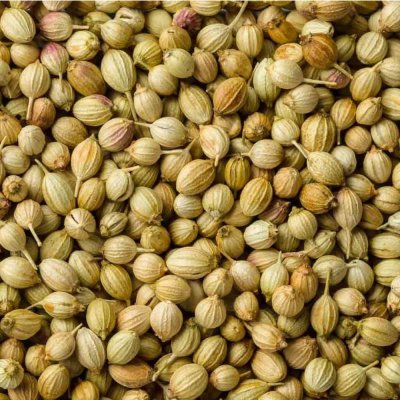 Coriander seeds 50GMS