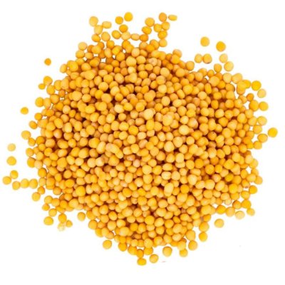 YELLOW MUSTARD SEEDS 100 GMS
